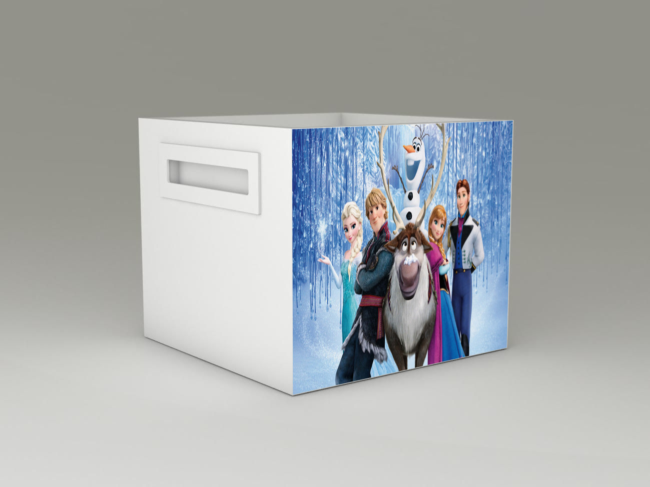 Becks lon box na hraky Frozen